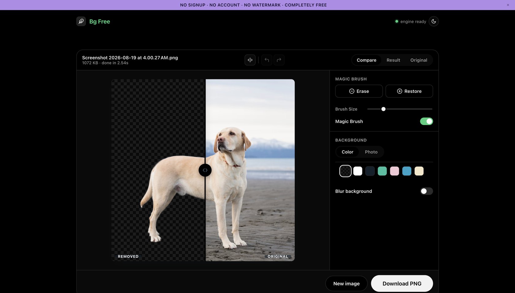 Bg Free editor showing Magic Brush, background color, and blur controls after removing a photo's background